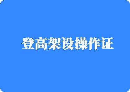 爽爽操逼视频登高架设操作证